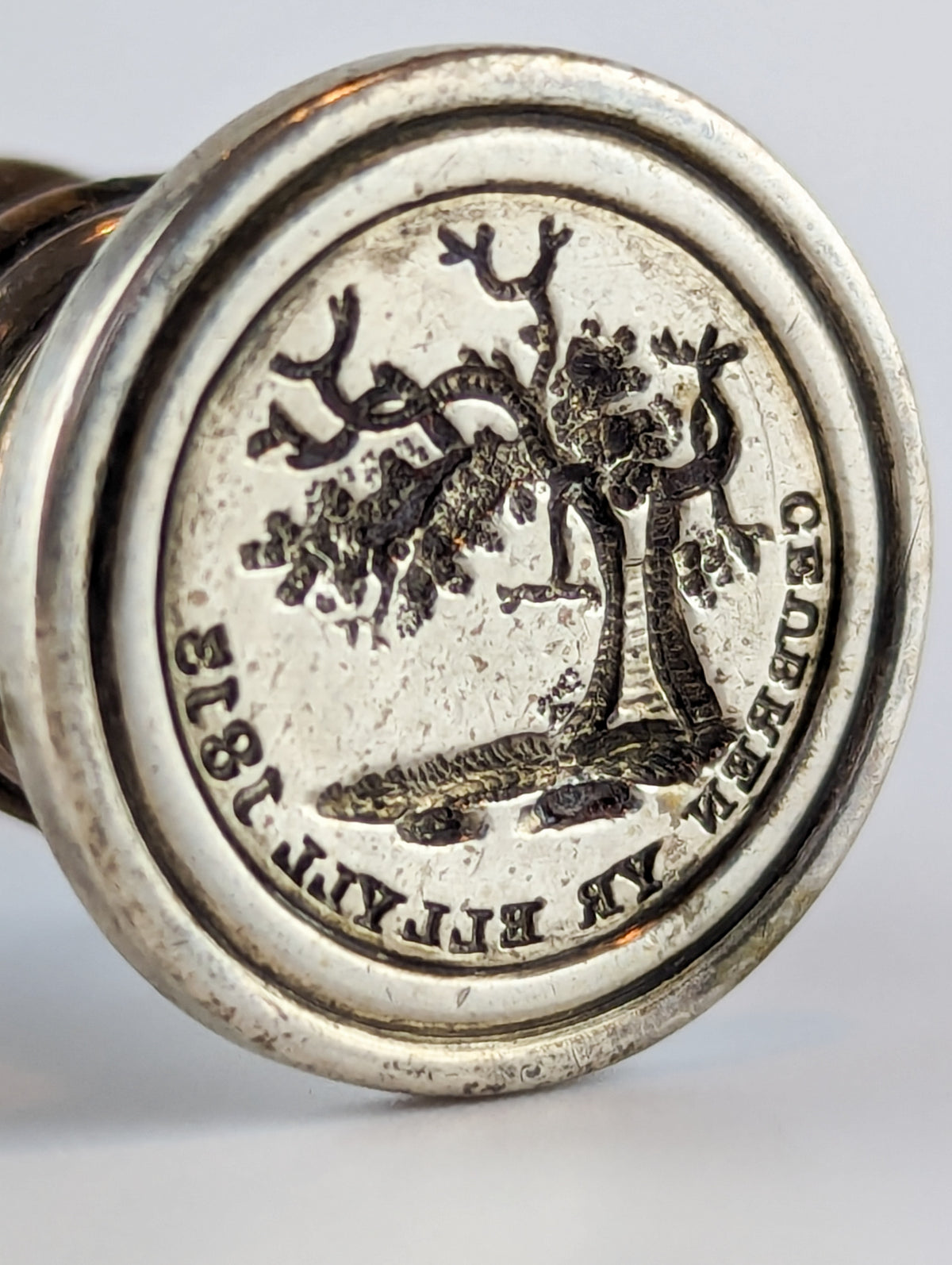 Detail of silver wax seal matrix
