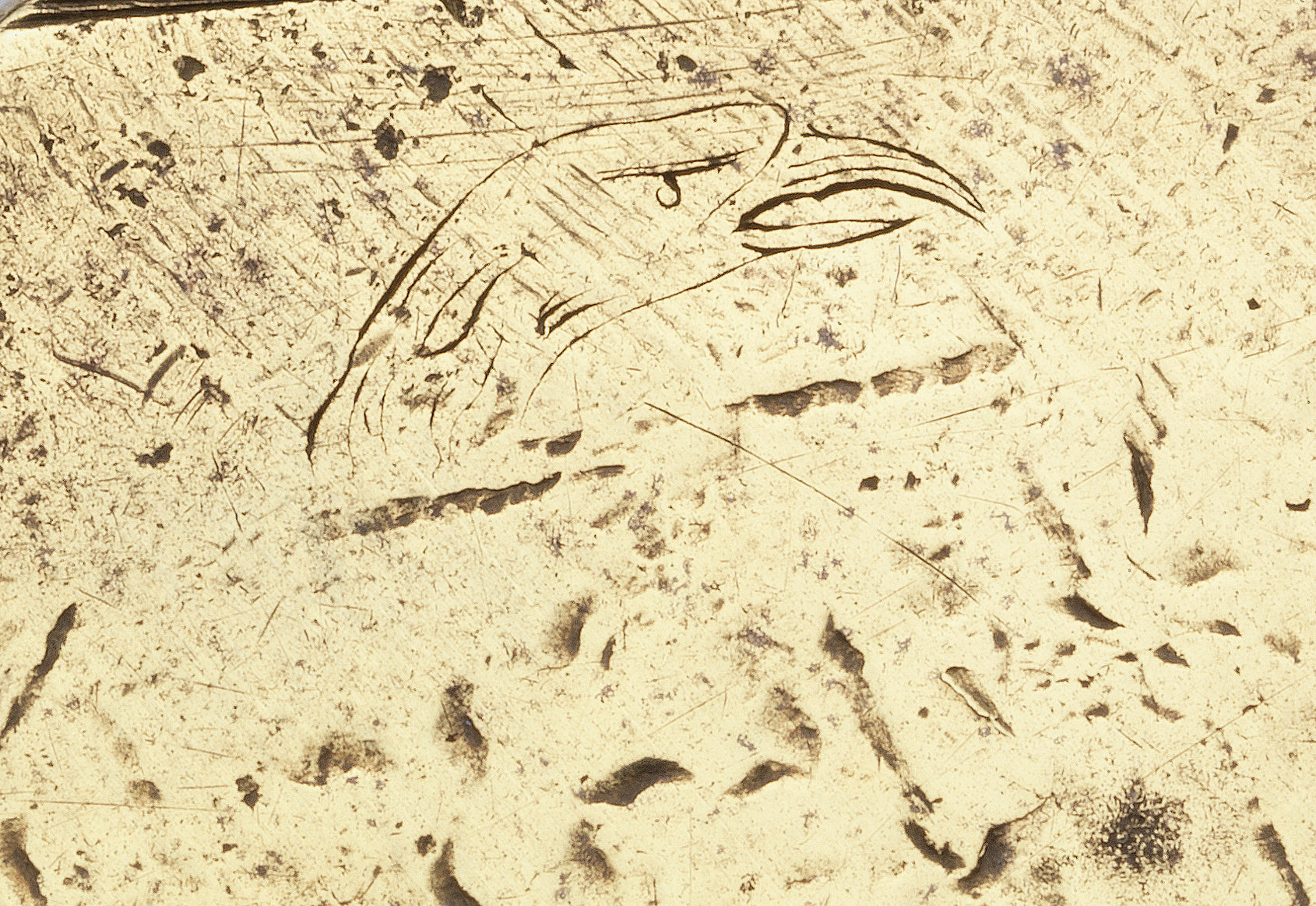 Detail of engraving on brass wax seal matrix showing eagle's head